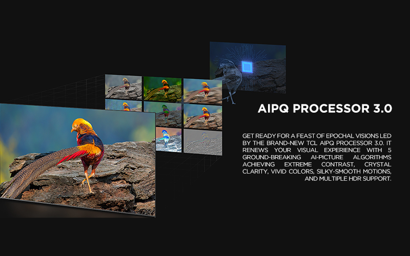 AiPQ PROCESSOR 3.0 - Get ready for a feast of epochal visions led by the brand-new TCL AiPQ Processor 3.0. It renews your visual experience with 5 ground-breaking Ai-Picture algorithms achieving extreme contrast, crystal clarity, vivid colors, silky-smooth motions, and multiple HDR support.

